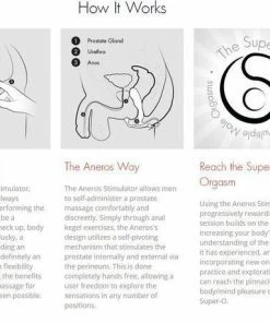 Aneros Helix Syn Trident Prostate Massager & Perineum Stimulator For Men