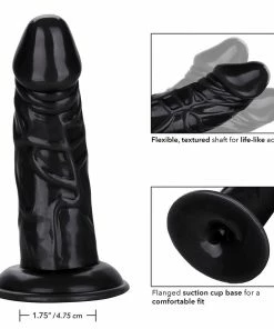 Back End Chubby Suction Cup Anal Dildo By Cal Exotics Anal Sex Toys