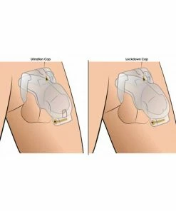 Master Series Customizable Locking 3.5 Inch Adjustable Clear Chastity Cage