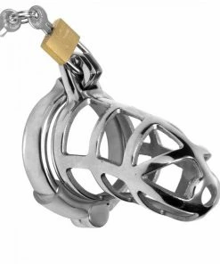 Master Series Detained Locking 3 Inch Stainless Steel Chastity Cage Male Chastity And Cock Cages