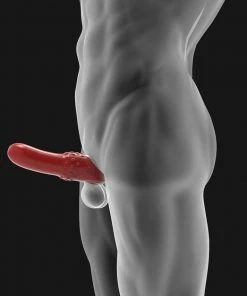 Hunkyjunk Swell Cocksheath By Oxballs | Combined Cock Sheath And Cock Stroker