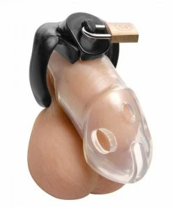 Rikers Locking 2.75 Inch Adjustable Chastity Cage By Master Series