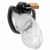 Rikers Locking 2.75 Inch Adjustable Chastity Cage By Master Series
