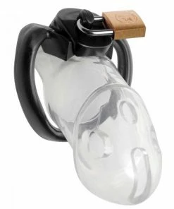 Rikers Locking 2.75 Inch Adjustable Chastity Cage By Master Series